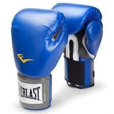 Manusi box Pro Style, 10 oz, albastru, Everlast