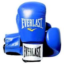 Manusi box piele Fighter, 10oz, albastru, Everlast