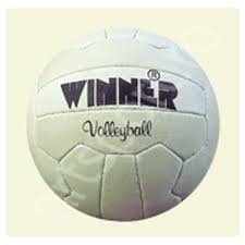 Minge volei din piele Winner