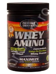 Whey Amino 2000