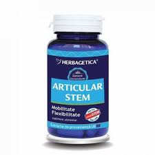 Articular Stem, 60 capsule, Herbagetica