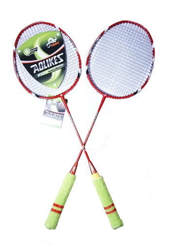 Badminton set Technology 6948