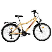 Bicicleta de oras pentru copii, 24 inch, Travel, DHS