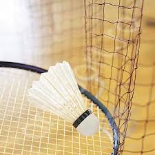 Fileu Badminton antrenament