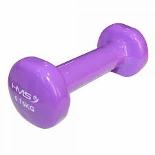 Gantera fitness 0.75kg, vinil, mov