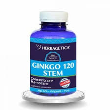 Ginkgo 120 Stem, 120 capsule, Herbagetica