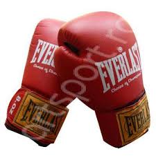 Manusi de antrenament din PVC Everlast Rodney 10 oz