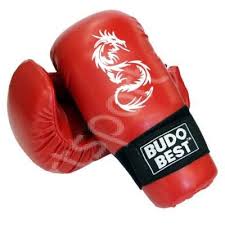 Manusi Kickbox Wako