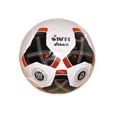 Minge fotbal de antrenament Winart Dream