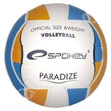 Minge volei pentru antrenament - Spokey Paradize