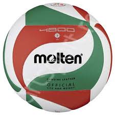 Minge volei piele naturala - Molten V5M4800