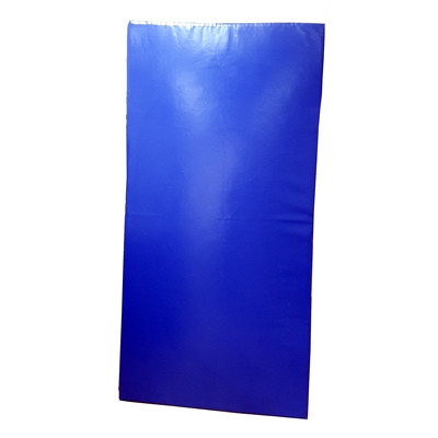 Saltea gimnastica din PVC 200x100x4cm, albastru