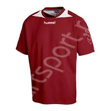 Tricou sport Hummel Roots SS - visiniu